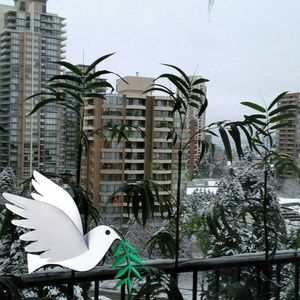 Meet your Posher, Andy